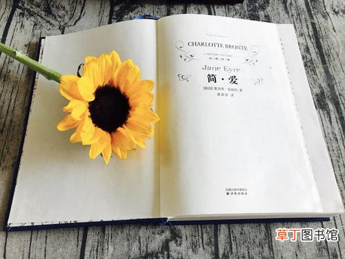 简爱读书笔记摘抄赏析好词好句