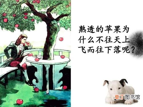 重力用什么测量