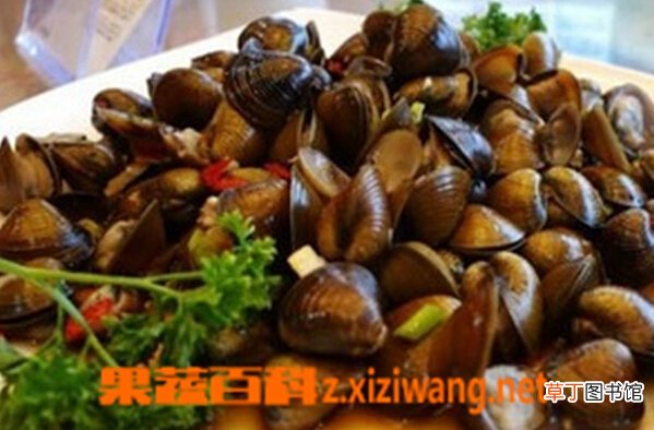 河蚬的做法大全 河蚬怎么做好吃