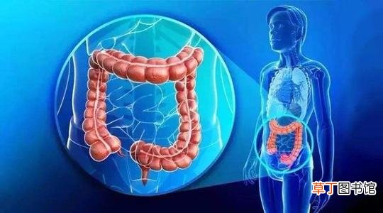 胰腺癌为什么是癌王-胰腺癌为什么死的快