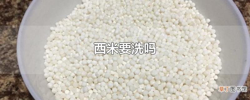 西米要洗吗