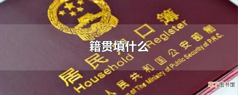 籍贯填什么