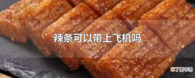 辣条可以带上飞机吗