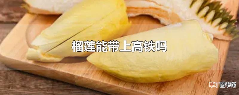 榴莲能带上高铁吗
