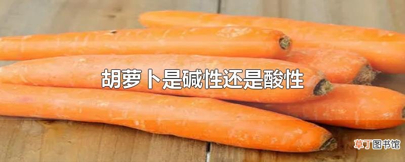 胡萝卜是碱性还是酸性