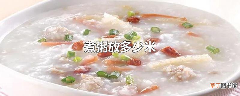 煮粥放多少米