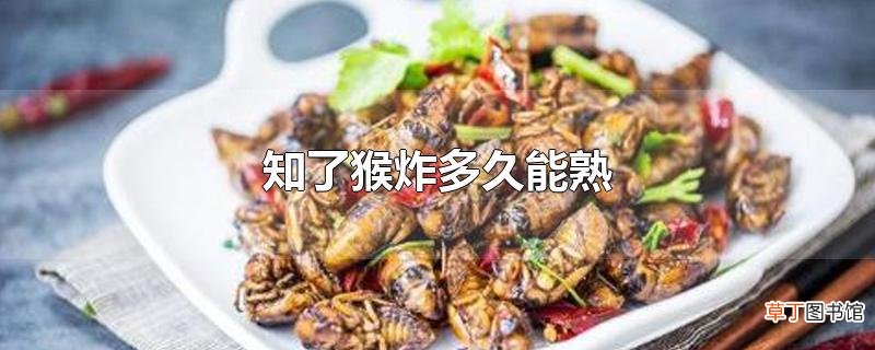 知了猴炸多久能熟