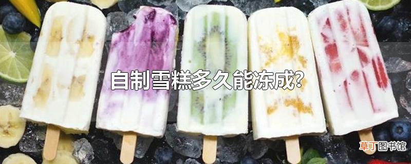 自制雪糕多久能冻成?