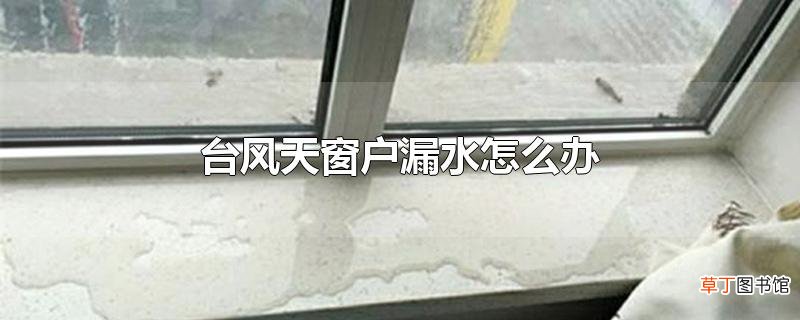 台风天窗户漏水怎么办