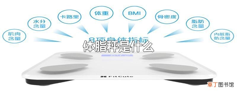 体脂秤是什么