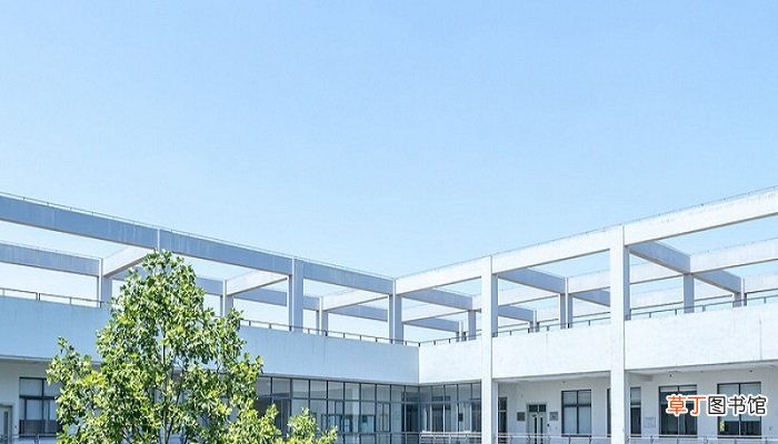 沈阳工程学院国际本科可以不出国吗