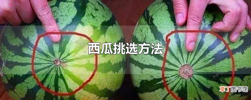 西瓜挑选方法