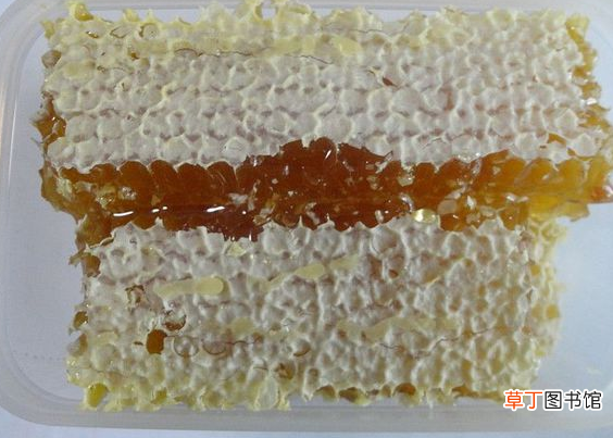 吃蜂巢蜜要注意什么 吃蜂巢蜜的注意事项