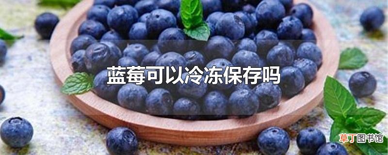 蓝莓可以冷冻保存吗