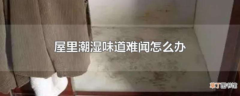 屋里潮湿味道难闻怎么办