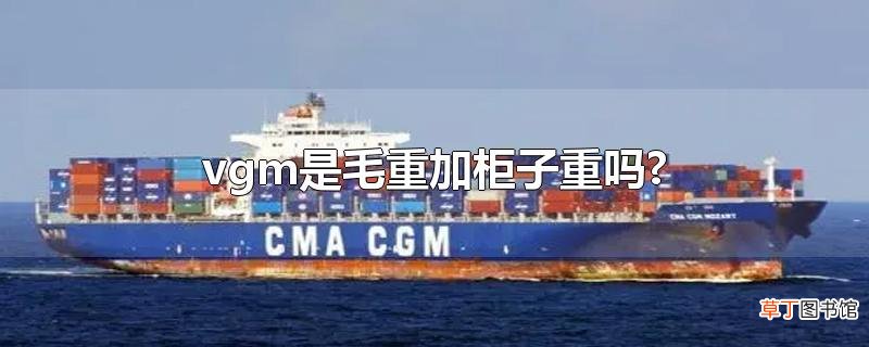 vgm是毛重加柜子重吗?