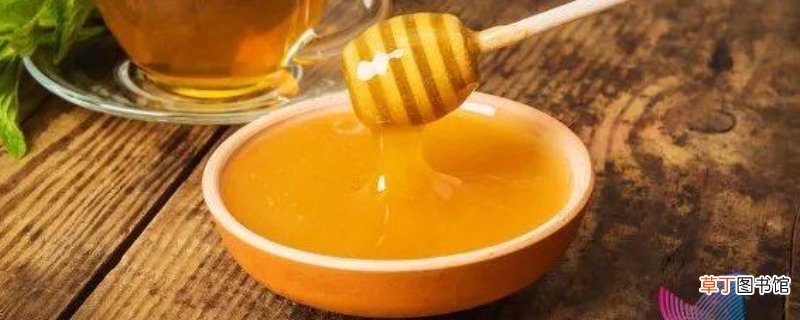 蜂蜜是蜜蜂的屎吗