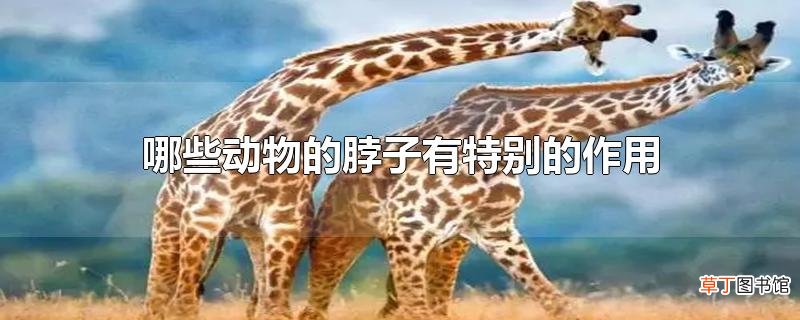 哪些动物的脖子有特别的作用