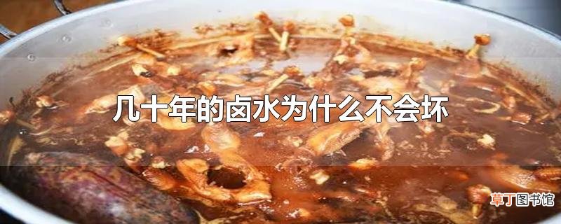 几十年的卤水为什么不会坏