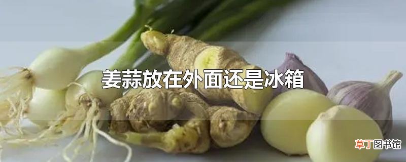 姜蒜放在外面还是冰箱