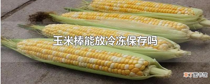 玉米棒能放冷冻保存吗