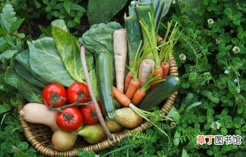 经常性疲惫多吃恢复元气食物 补充能量的好食品推荐