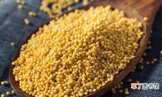 想要排毒养颜 这8中天然食物必不可少