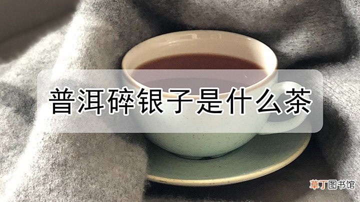 普洱碎银子茶是什么茶