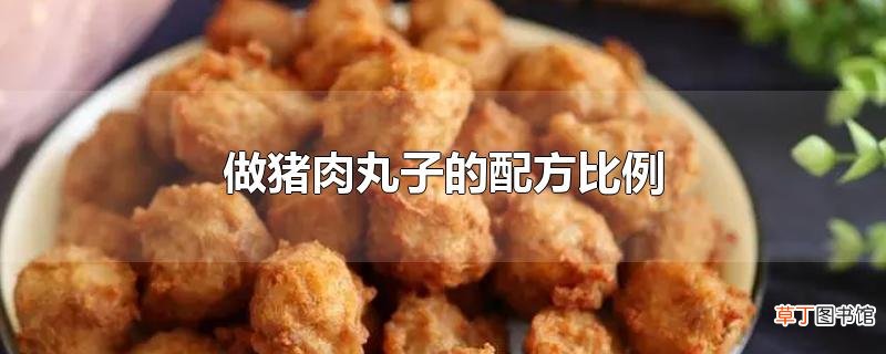 做猪肉丸子的配方比例