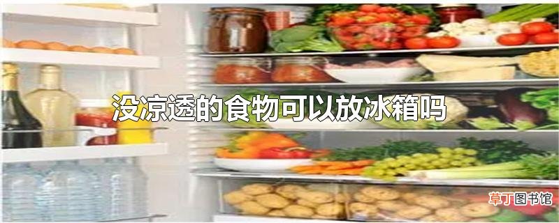 没凉透的食物可以放冰箱吗