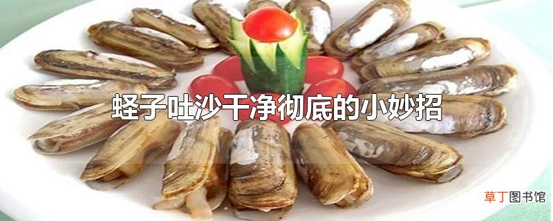 蛏子吐沙干净彻底的小妙招