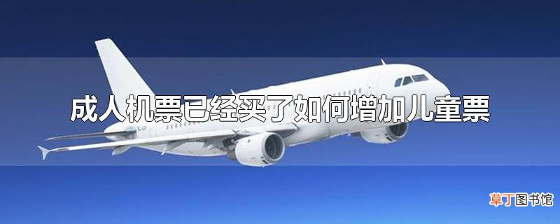 成人机票已经买了怎么增加儿童票