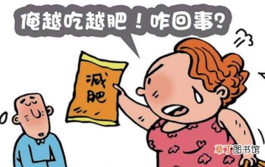为什么有的人越减越肥 减肥反而肥胖的四大原因