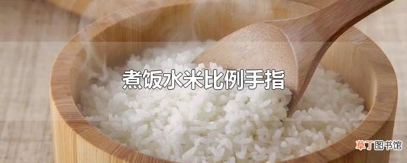 煮饭水米比例手指