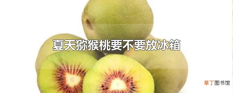 夏天猕猴桃要不要放冰箱
