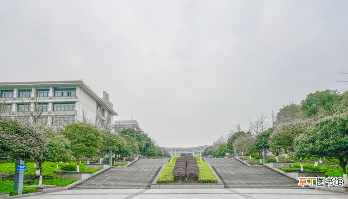 学部和学院的区别