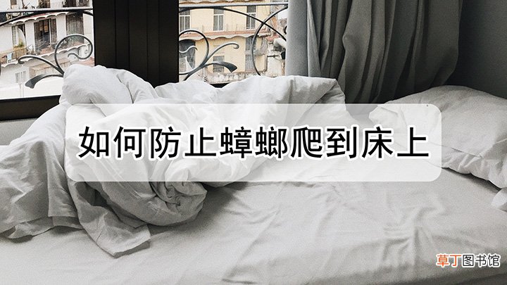 如何防止蟑螂爬到床上来