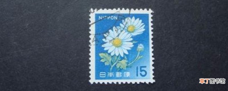 邮票怎么画