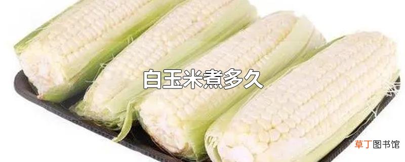 白玉米煮多久