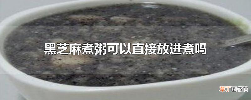 黑芝麻煮粥可以直接放进煮吗