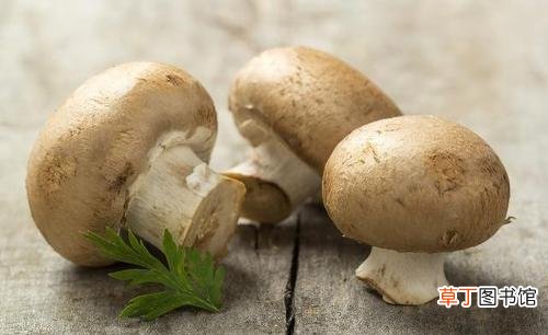 甲状腺结节吃什么散结-甲状腺结节散结中成药有哪些