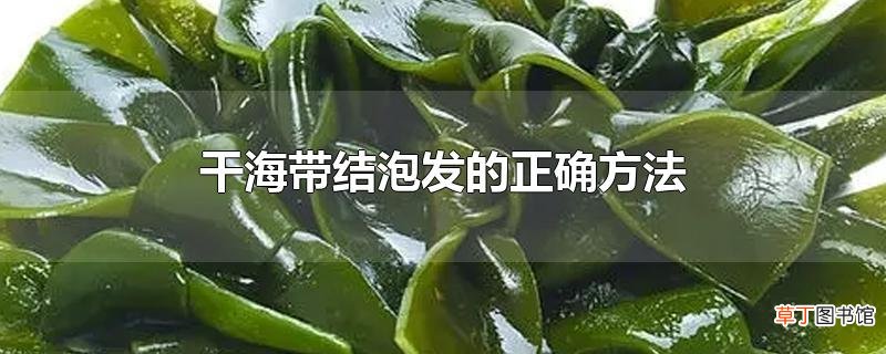 干海带结泡发的正确方法