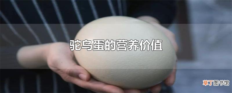 驼鸟蛋的营养价值