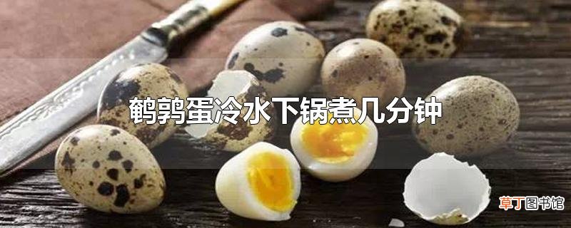 鹌鹑蛋冷水下锅煮几分钟