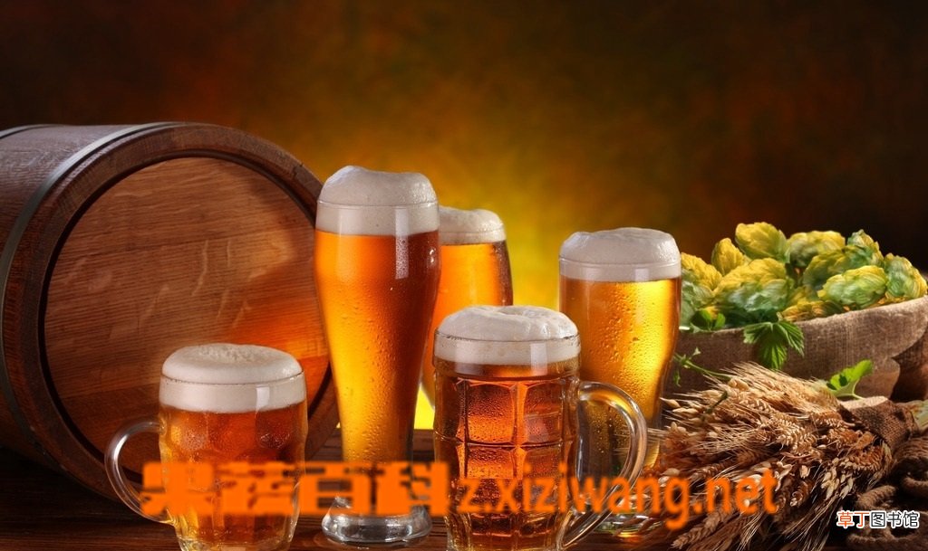 喝啤酒的坏处有哪些