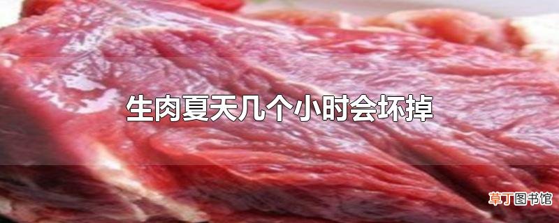 生肉夏天几个小时会坏掉