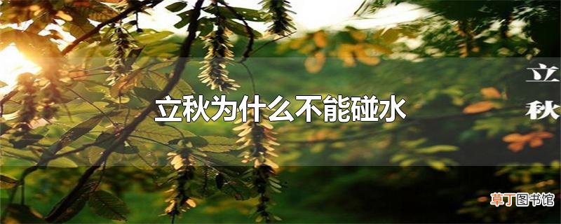 立秋为什么不能碰水