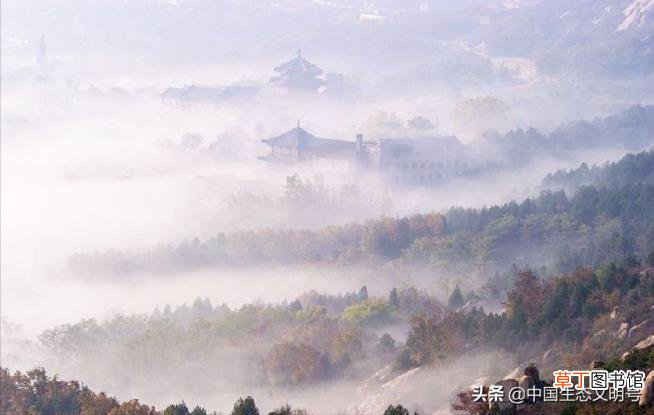 登泰山记原文及翻译 登泰山记原文及翻译注释