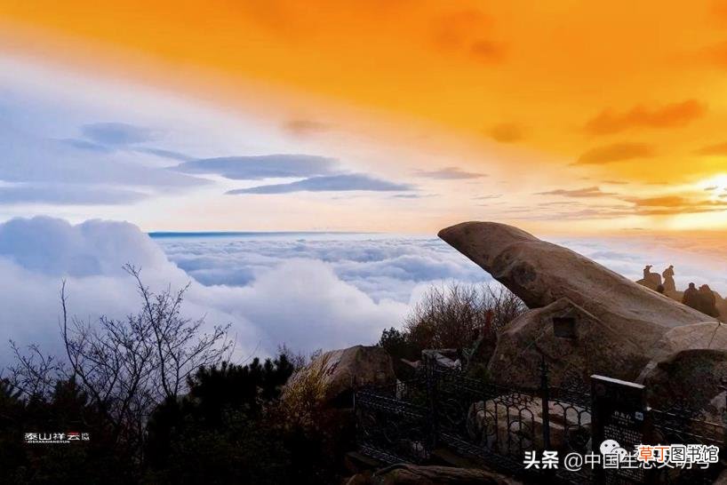 登泰山记原文及翻译 登泰山记原文及翻译注释