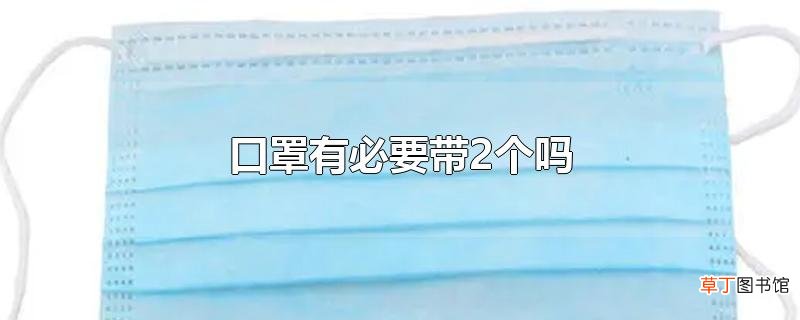 口罩有必要带2个吗
